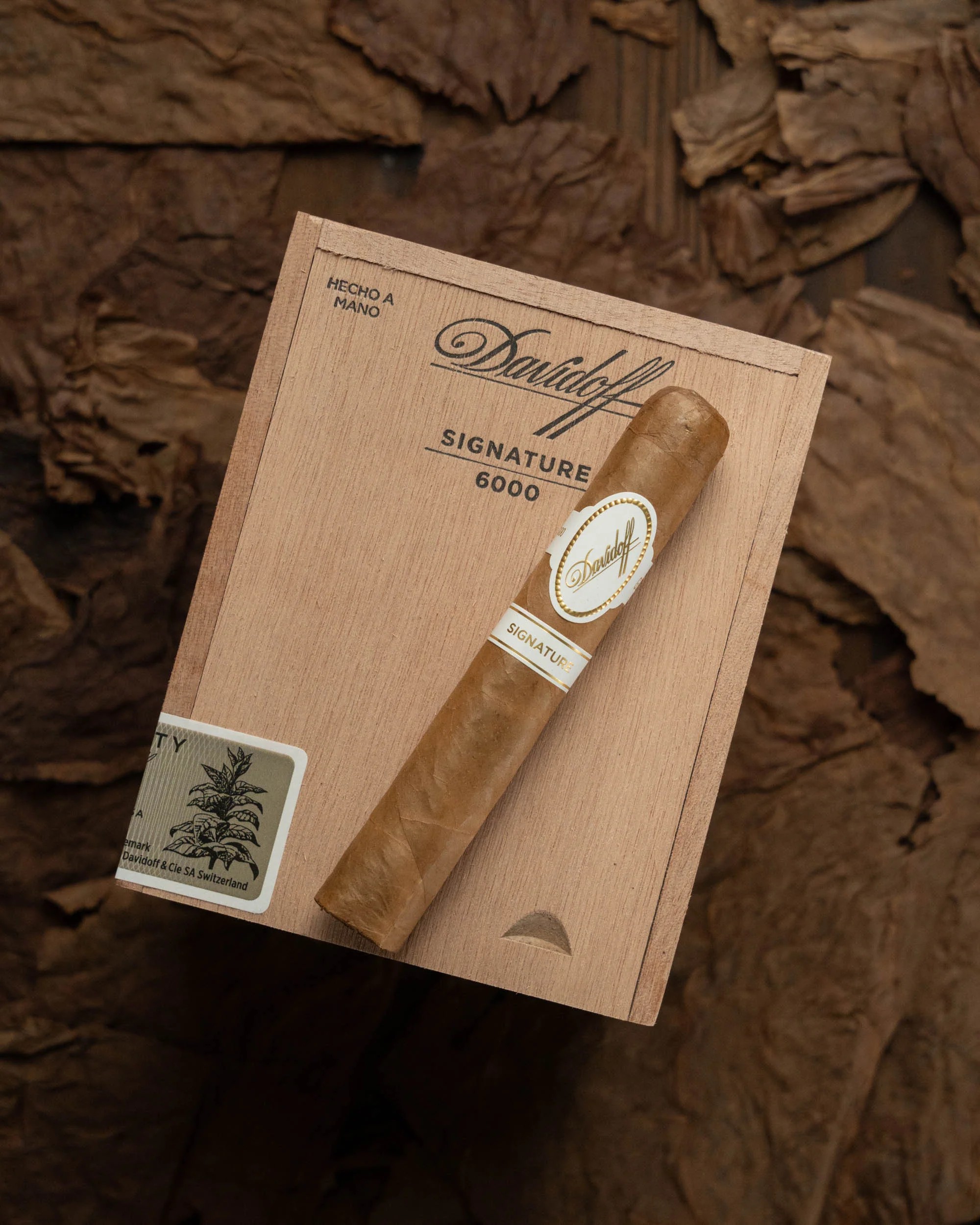 Davidoff Signature 6000