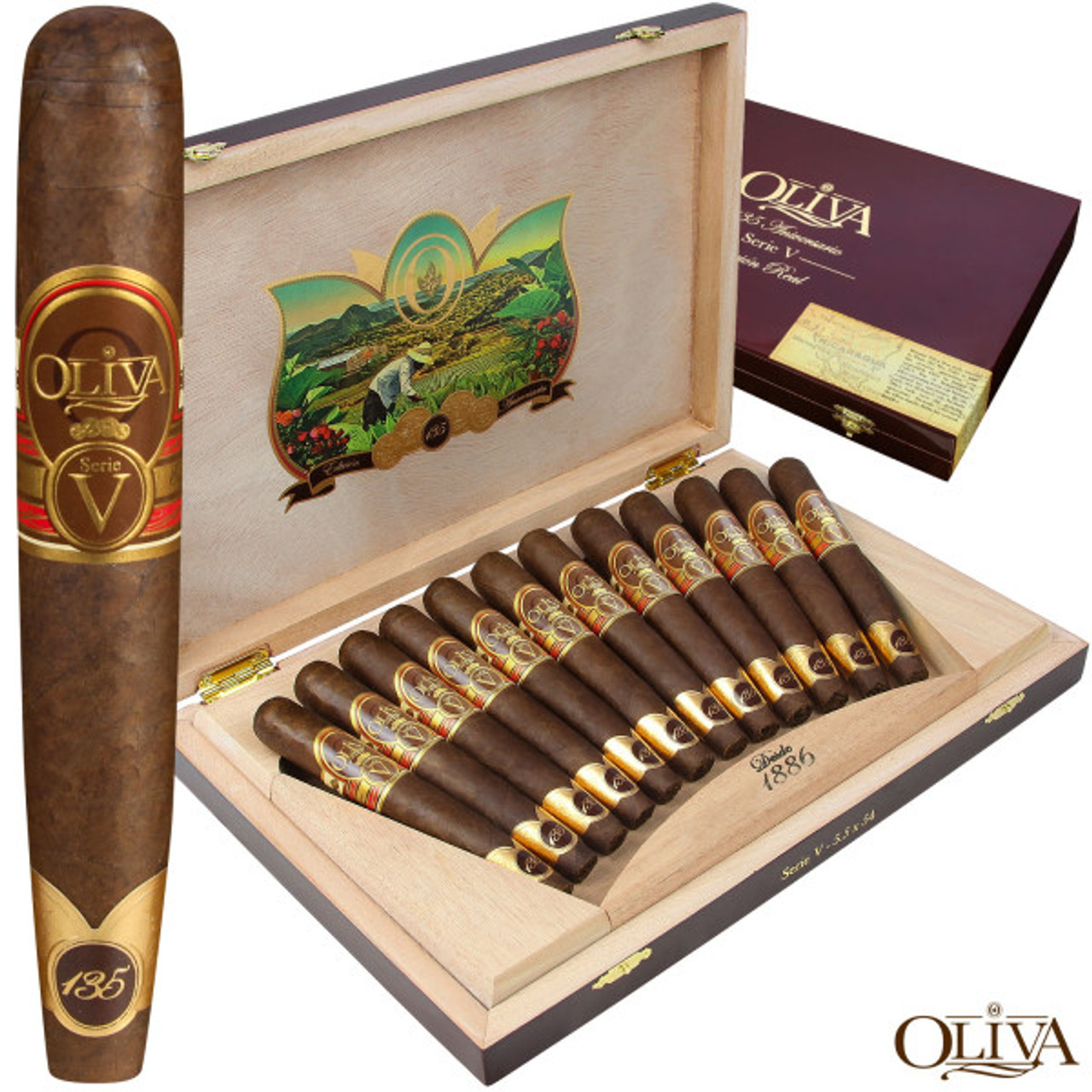 Oliva Serie V – 135th Anniversary (Edición Especial)